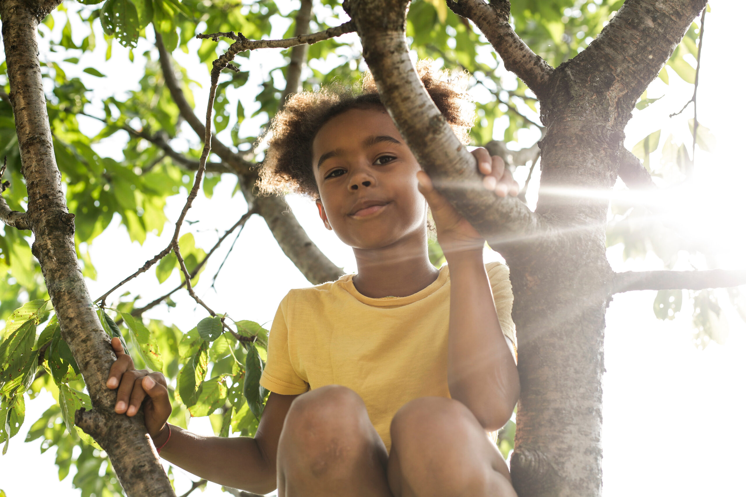 Girl in tree